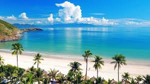 Kingston Jamaica Wallpapers Wallpaper Cave This hd wallpaper is about beach and shacks by the ocean under the skies in kingston, jamaica, original wallpaper dimensions is 3024x4032px, file size is 1.23mb. kingston jamaica wallpapers wallpaper