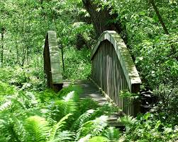 Fernwood Botanical Gardens Niles Michigan Photo By David Walenga Via Flickr Niles Michigan Forest Plants Michigan Camping