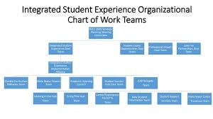 integrated student experience organizational chart of work