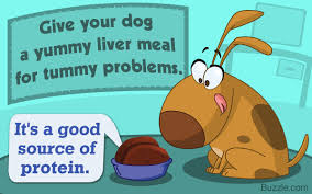 food for dogs with a sensitive stomach