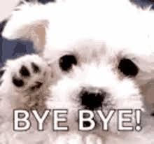 Hilarious dog memes that'll keep you laughing. Bye Dog Gifs Tenor