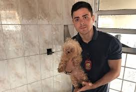 O nosso projeto de lei #pl345, que tem como objetivo incluir a causa animal na grade curricular das escolas públicas estaduais, foi vetado pelo governador joão dória, ou seja, ele decidiu que não é importante educar as crianças sobre os bons tratos aos animais. Bruno Lima Delegado E Ativista Da Causa Animal Em Araraquara Rcia Araraquara
