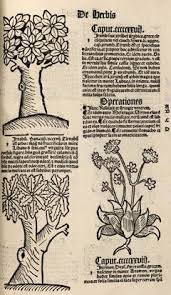 Hortus Sanitatis Plants Of The East And See Instructions Pdf Avec Images Linogravure Dessin