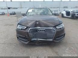 Image result for Argus Brown 2017 A4