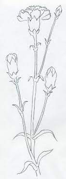 25 Beautiful Flower Drawing Information Ideas Brighter Craft Beautiful Flower Drawings Flower Sketches Flower Drawing