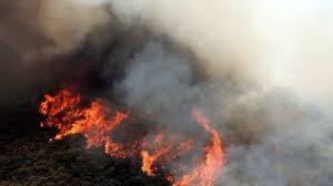 Ρεπορτάζ, ελλάδα, οικονομία, κόσμος, sports, τεχνολογία, videos, τv, στήλες, επικοινωνία, blog. Se Yfesh H Fwtia Sthn Korin8o