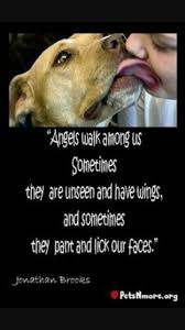 Idea By Alicia Star On Animal Lover Dogs Dog Quotes Animal Quotes