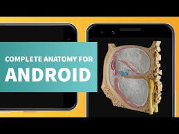 Complete anatomy has a wider depth and breadth of offerings than other anatomy platforms currently available (e.g. Complete Anatomy 21 3d Human Body Atlas Apps On Google Play