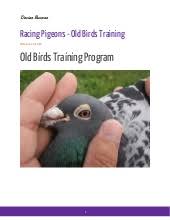 Missing vessels pdf free full ebook online, journal of rita diggs : Racing Pigeons Pdf
