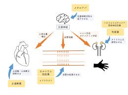 医療法人水ノ江医院