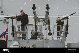 Image result for Primula 1982 Fleet