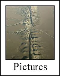 San Andreas Fault Homepage Information Photos Maps Fault Location And More San Andreas Fault San Andreas Study History