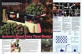 Harvest A Pound Every Three Weeks High Times June 2009