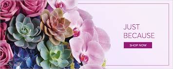 Dothan Florist Flowers Dothan Al Harts And Flowers Florist