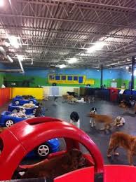 We provide a fun, safe, loving and clean environment for your dog to play in while you are away! 100 Dog Daycare Ideas Dog Daycare Dog Kennel Pet Resort