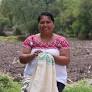 Lanzan marca «Hecho en pueblos indígenas» para fortalecer venta y promoción artesanal