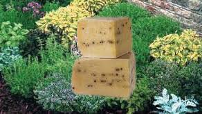 Sia per la scelta libera del latte migliore, sia per l'assenza di caglio, sia per la. Formaggio Fatto In Casa Senza Caglio Cheftime It Ricette Vere E Sfiziose