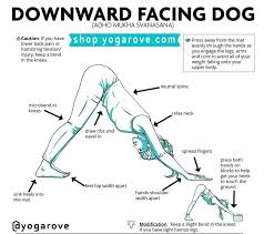 Yoga Rove Yoga For Beginners On Instagram How To Practice Downward Facing Dog Pose Yoga For Beginners Yoga For Flexibility Yoga Routine For Beginners