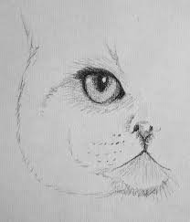Draw a body around the bottom circle. Easy Drawing Easy Realistic Cat Eye Drawing