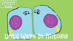 We did not find results for: Cell Song Worksheets Teachers Pay Teachers