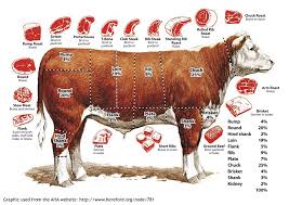 30 Unexpected Cow Processing Chart