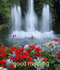 It refers to a 'morning flower' in native american language. Pin By Ushadas Kusuma On Picture Good Morning Flowers Good Morning Images Good Morning