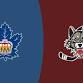 Chicago Wolves V. Toronto Marlies event image