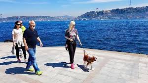Ve Findik En Sevdigi Yerde Deniz Kenarinda Family Familyphotography Familypictures Tbt Igers Dog Cavalierkingcharlesspaniel Summer Bebek Hom Instagram