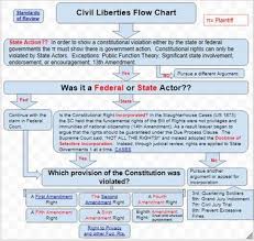 Civil Liberties Flow Charts