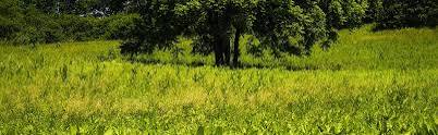 Uplands Farm Sanctuary | The Nature Conservancy in New York