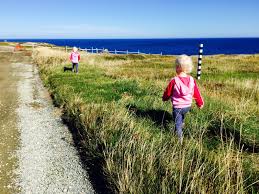 Watch whales from the fabulous deck while drinking a glass of wine or stroll down to sandy cove beach for a cool north atlantic swim. Exploring Newfoundland Atlantic Canada