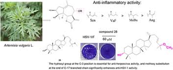 Image result for Urera gravenreuthii