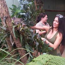 Rose namajunas, with official sherdog mixed martial arts stats, photos, videos, and more for the strawweight fighter from china. Pic Arianny Celeste With No Makeup Pets Koalas Charms Snakes In Australia Mmamania Com