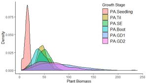 Check spelling or type a new query. Agronomy Free Full Text Affordable Phenotyping Of Winter Wheat Under Field And Controlled Conditions For Drought Tolerance Html