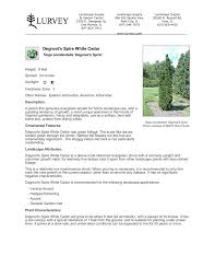 We're here to help you find the best option for your needs and will work to ensure that we accommodate you in a home, condo, hotel or townhome that best fits your. Degroot S Spire White Cedar Lurvey Landscape Supply Pages 1 2 Flip Pdf Download Fliphtml5