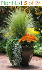 24 Stunning Container Garden Planting Ideas In 2020 Flower Pots Outdoor Mixed Flower Pots Container Gardening Flowers