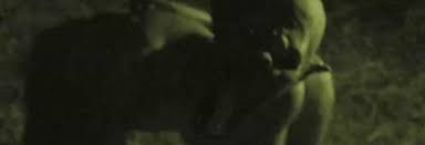 Trailer, clips, photos, soundtrack, news and much more! Exclusive Trailer Premiere For The Black Water Vampire Bloody Disgusting