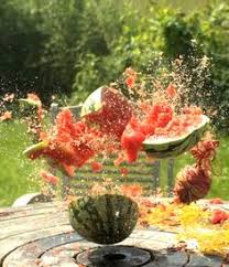 The rubber bands stretched around a watermelon not only increase the potential energy of the rubber band but also of the watermelon! 11 Watermelon Explosion Ideas Watermelon Exploding Watermelon Explosion