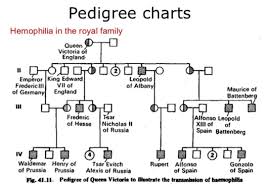 Genetics monohybrid crosses worksheet answer key. Below Is A Pedigree Chart Illustrating The Clutch Prep