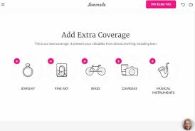 Lemonade insurance company focuses on providing customers types of insurance categories with instant service for homeowners and renters insurance policies. Lemonade Insurance Review My Experience Using Lemonade