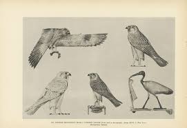 Egyptian Birds Used In Hieroglyphics Falcon Crane Art Of Etsy Ancient Egypt Art Egyptian Art Ancient Egyptian Art