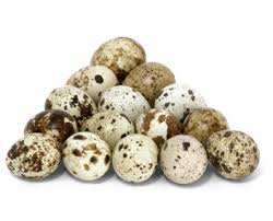 Start by bringing a small pot of water to boil on the stove. How To Boil Quail Eggs How Long To Boil Quail Eggs
