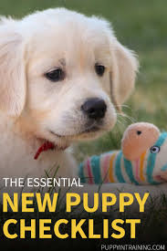 Introduce the puppy to new sights, sounds, and smells: New Puppy Checklist 2021 I M Getting A New Puppy What Do I Need Puppy In Training
