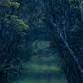 Traumatic Bereavement event image