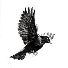 Black Bird With Red Neck Simple Blackbird Tattoo Design Flying Bird Tattoo Black Bird Tattoo Birds Tattoo