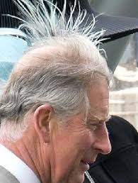 15 Of The Most Magnificent Comb Overs You Will See Bad Hair Day Bad Hair Hair Day