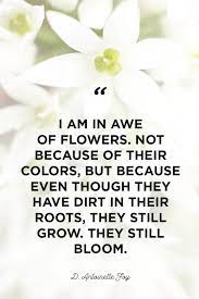 What can you say about flowers. 48 Inspirational Flower Quotes Cute Flower Sayings About Life And Love