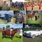 Crowle Show 2026 event image