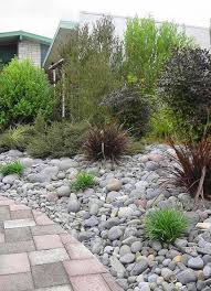 Native Nz Plants Colour Garden Designer Nzlandscapes Landscape Design Auckland Garden Landscape Design Garden Design Native Garden