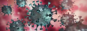 In the winter and spring of 2020, the world found itself in the midst of a pandemic. Wichtige Information Zum Coronavirus Sars Cov 2 Rentokil